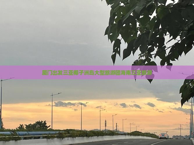 厦门出发三亚椰子洲岛大型旅游团