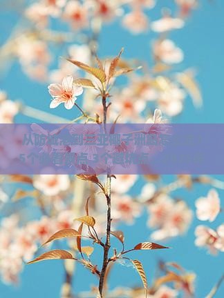 防城港去三亚椰子洲岛旅游