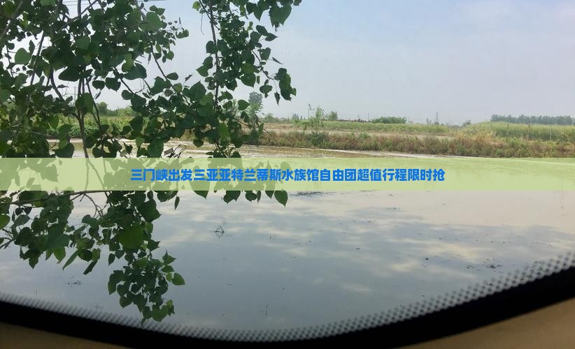 三门峡出发三亚亚特兰蒂斯水族馆自由团
