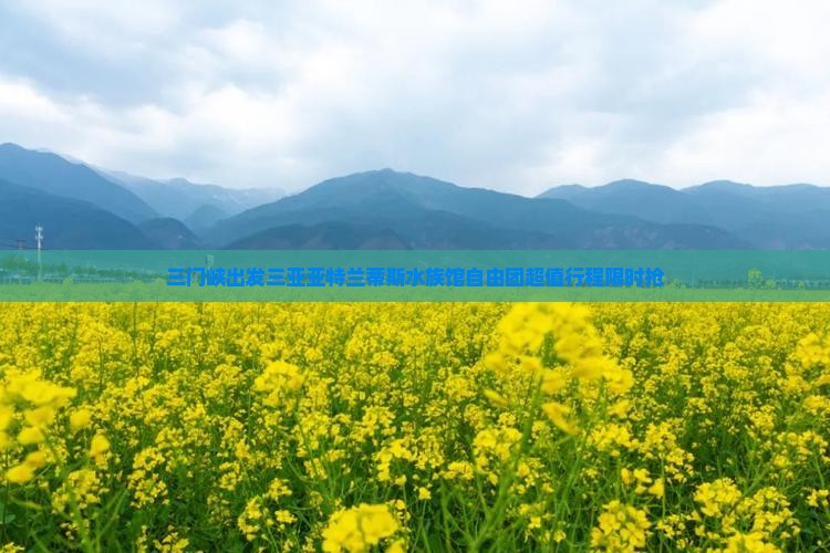 三门峡出发三亚亚特兰蒂斯水族馆自由团