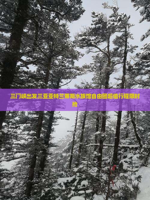 三门峡出发三亚亚特兰蒂斯水族馆自由团