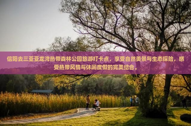 信阳去三亚亚龙湾热带森林公园旅游打卡点