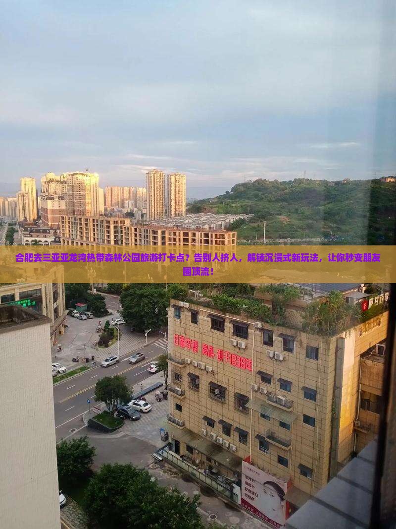 合肥去三亚亚龙湾热带森林公园旅游打卡点