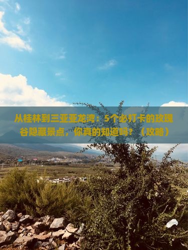 桂林去三亚亚龙湾国际玫瑰谷旅游打卡点