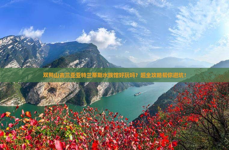 双鸭山前往三亚亚特兰蒂斯水族馆大型旅游团