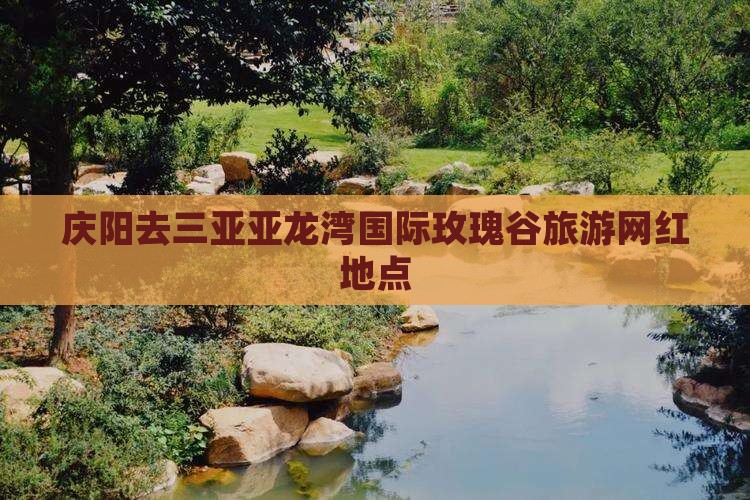 庆阳去三亚亚龙湾国际玫瑰谷旅游网红地点