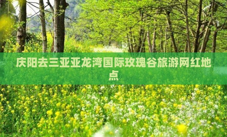 庆阳去三亚亚龙湾国际玫瑰谷旅游网红地点