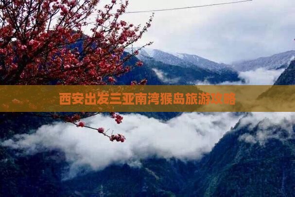 西安出发三亚南湾猴岛必玩地