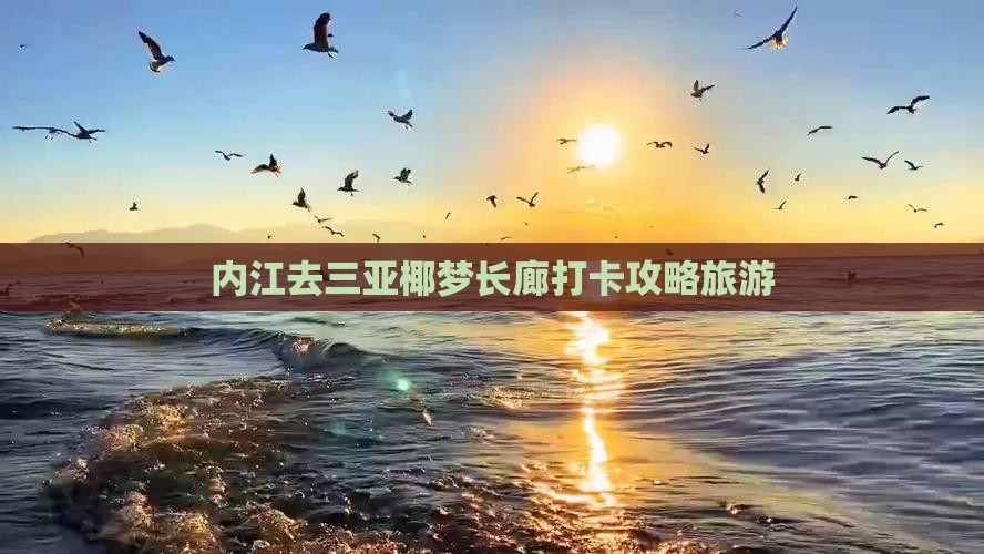 内江去三亚椰梦长廊旅游网红地点
