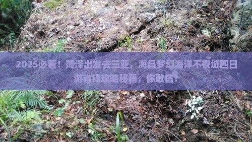 菏泽出发三亚海昌梦幻海洋不夜城四日游