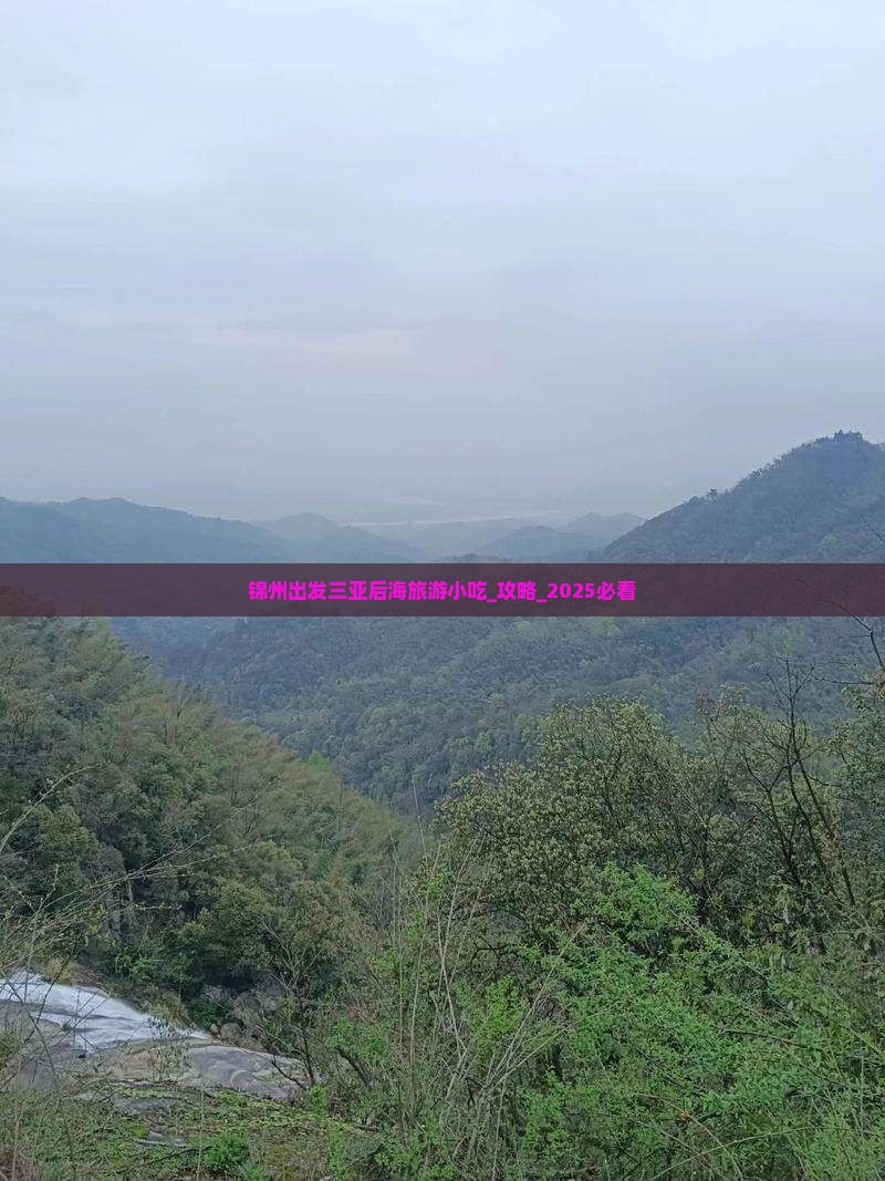 锦州出发三亚后海旅游小吃