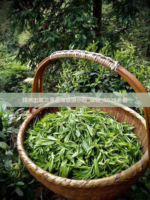 锦州出发三亚后海旅游小吃