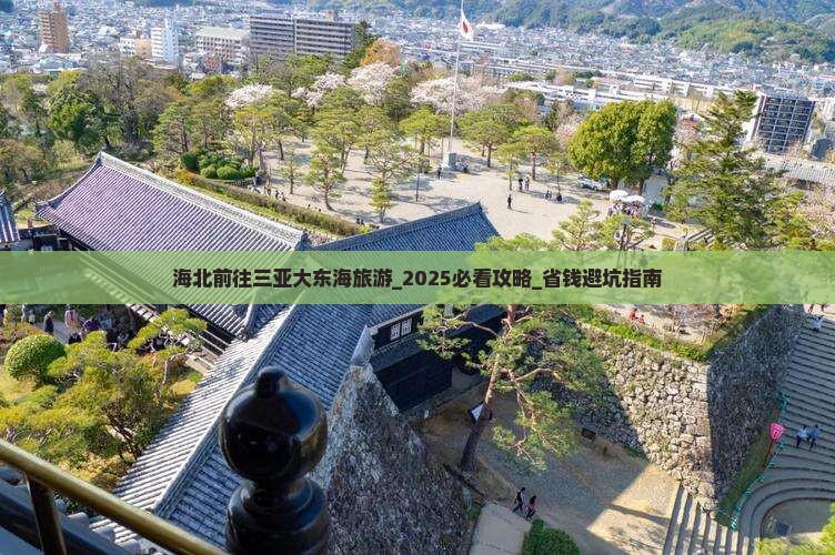 海北前往三亚大东海旅游