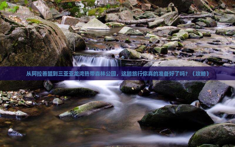阿拉善盟前往三亚亚龙湾热带森林公园旅游打卡点