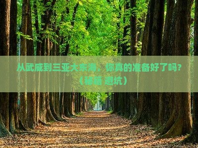 武威前往三亚大东海自由行