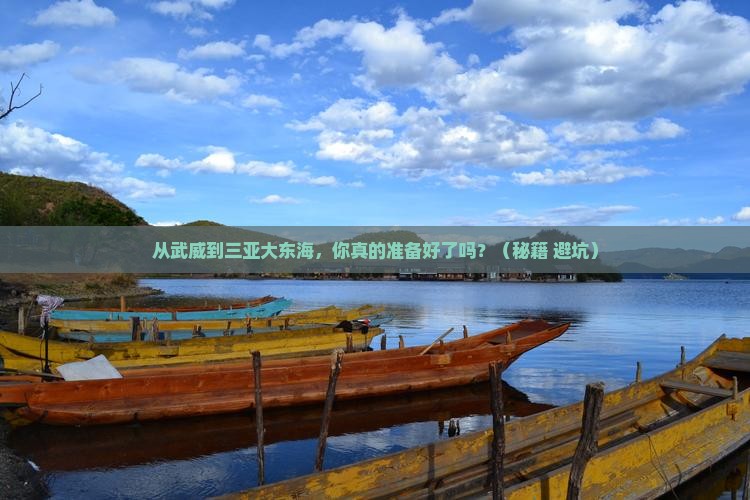 武威前往三亚大东海自由行