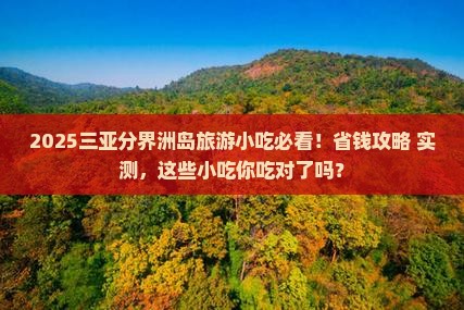 永新前往三亚分界洲岛旅游小吃