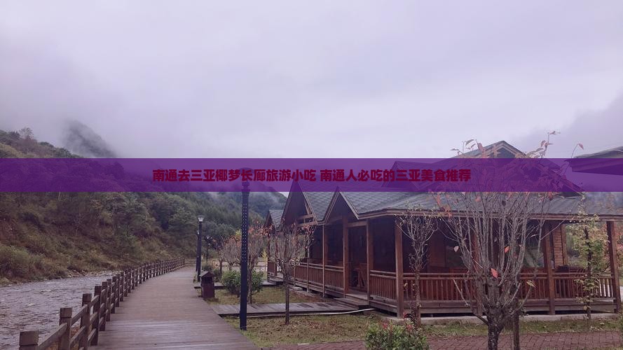 南通去三亚椰梦长廊旅游小吃