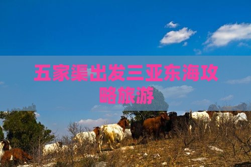 五家渠出发三亚小东海个人游