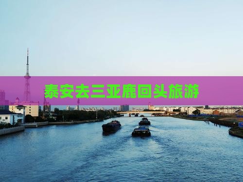 泰安去三亚鹿回头旅游