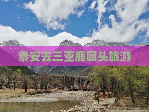 泰安去三亚鹿回头旅游
