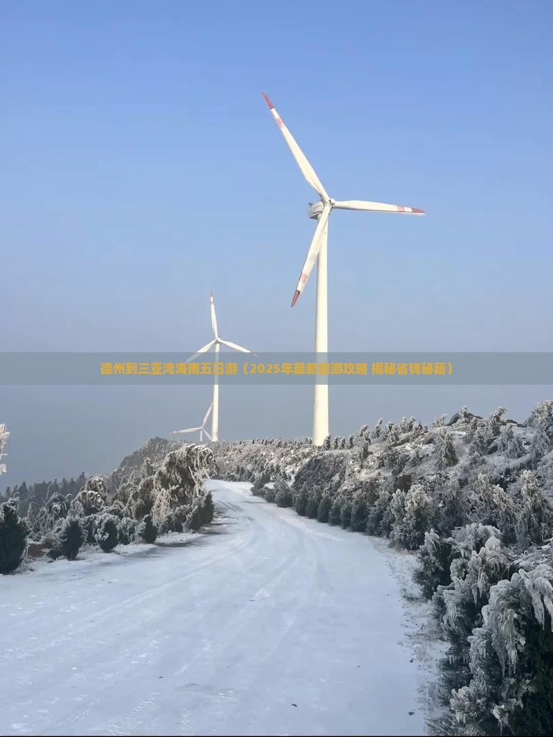 德州去三亚三亚湾五日游 德州去三亚三亚湾五日游