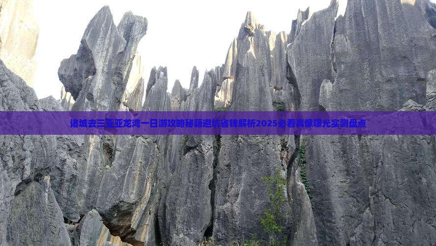 诸城去三亚亚龙湾一日游