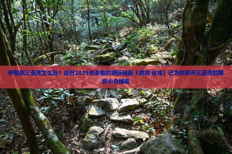 伊犁前往三亚三亚湾必玩地