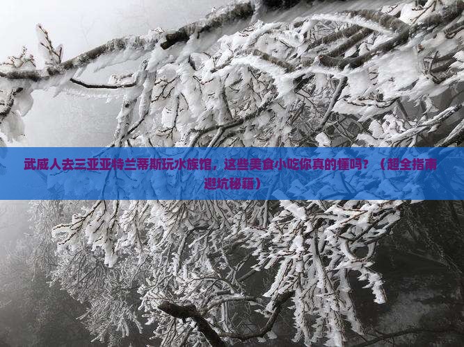 武威去三亚亚特兰蒂斯水族馆旅游小吃