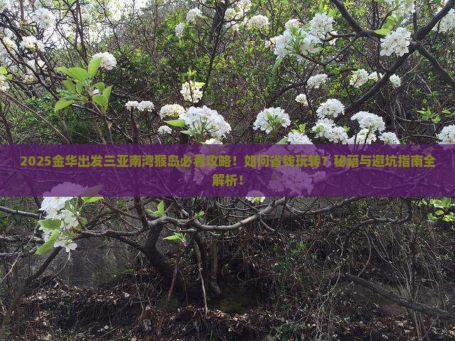 金华出发三亚南湾猴岛攻略