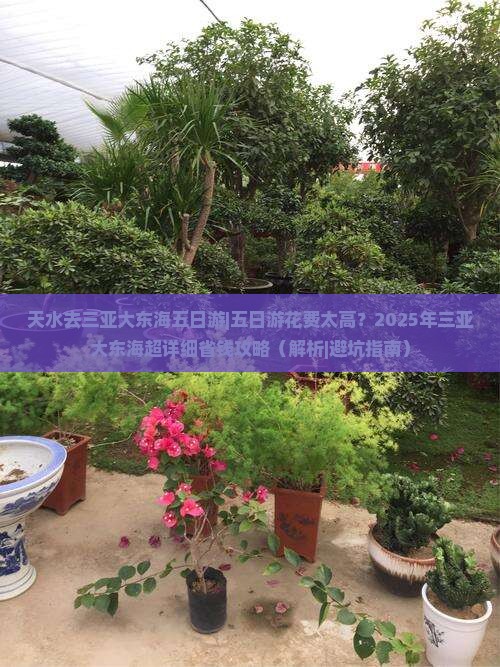 天水去三亚大东海五日游