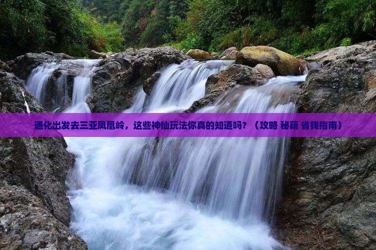 通化前往三亚凤凰岭公园哪里玩