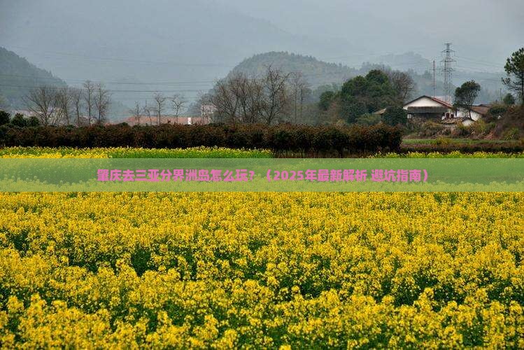 肇庆去三亚分界洲岛攻略