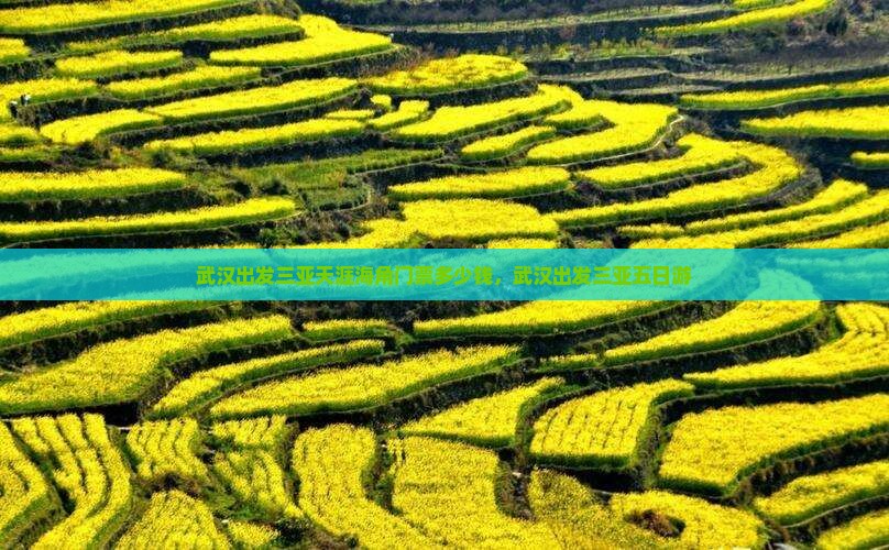 武汉出发三亚天涯海角门票