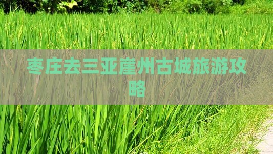 枣庄去三亚崖洲古城攻略