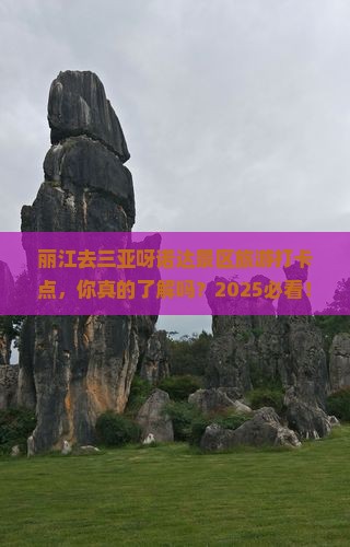 丽江去三亚呀诺达景区旅游打卡点