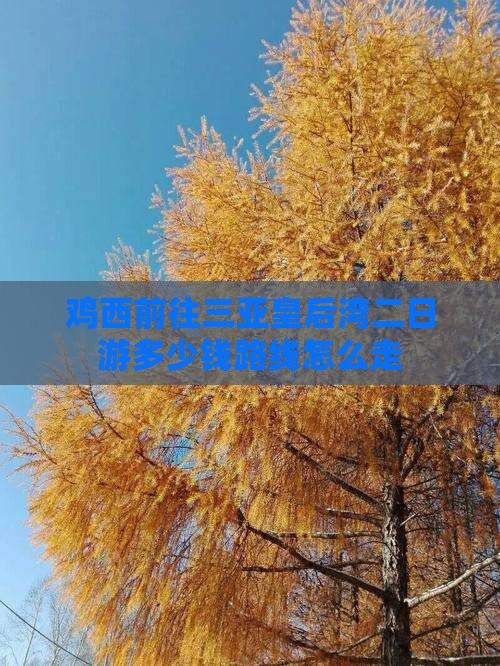 鸡西前往三亚皇后湾二日游