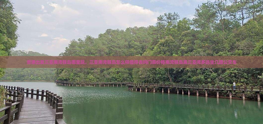 贵港出发三亚南湾猴岛哪里玩