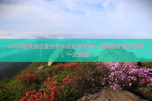 迪庆去三亚分界洲岛攻略