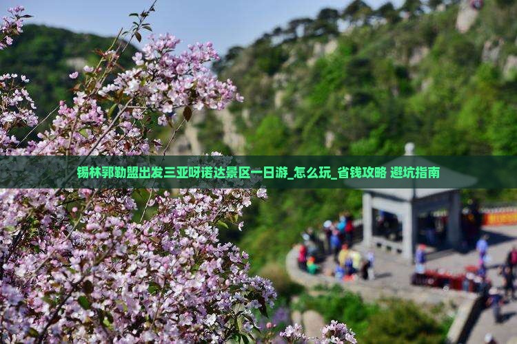锡林郭勒盟出发三亚呀诺达景区一日游