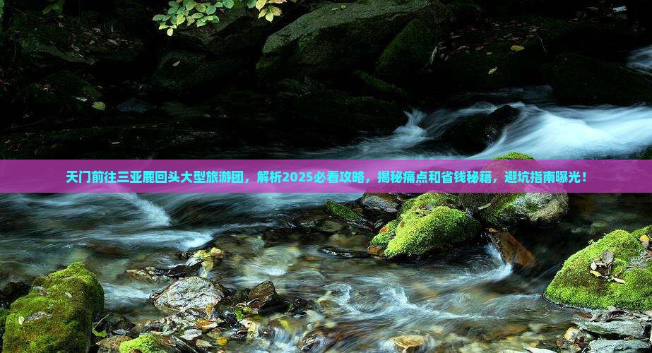 天门前往三亚鹿回头大型旅游团