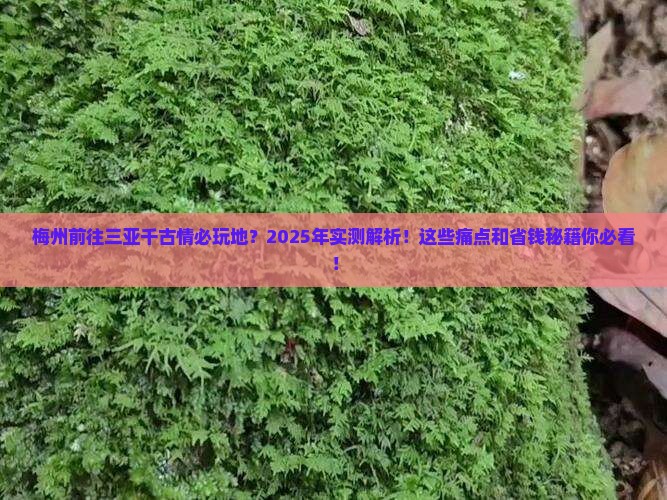 梅州前往三亚千古情必玩地