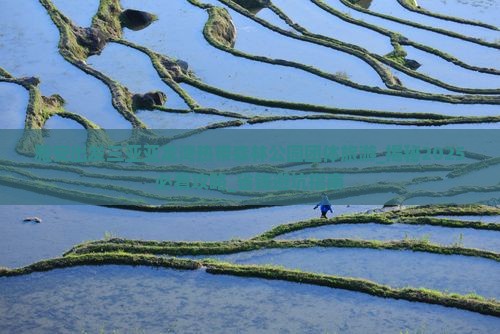 雅安出发三亚亚龙湾热带森林公园团体旅游