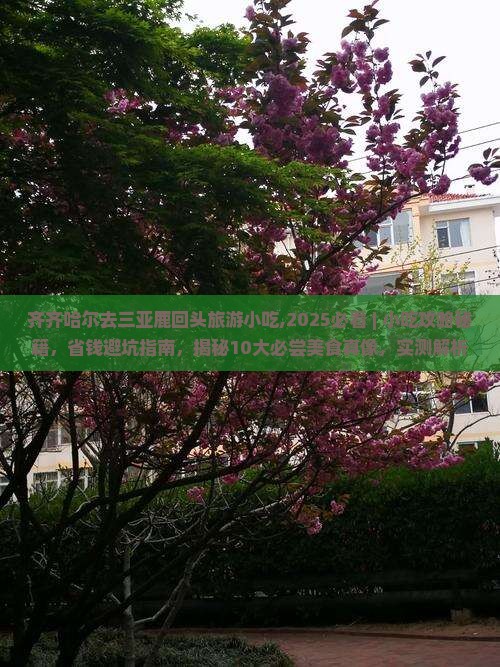 齐齐哈尔去三亚鹿回头旅游小吃 齐齐哈尔去三亚鹿回头旅游小吃