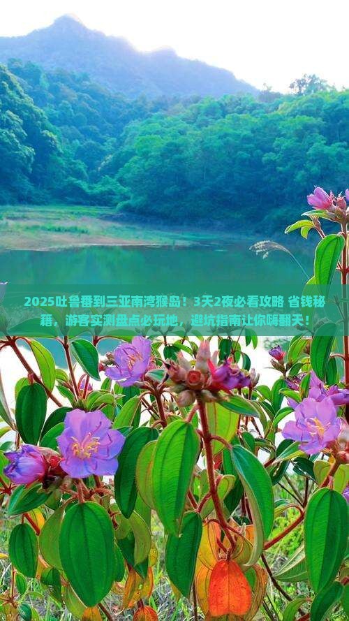 吐鲁番去三亚南湾猴岛必玩地