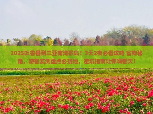 吐鲁番去三亚南湾猴岛必玩地