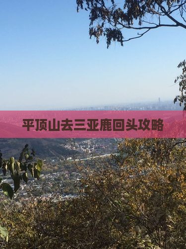 平顶山去三亚鹿回头攻略