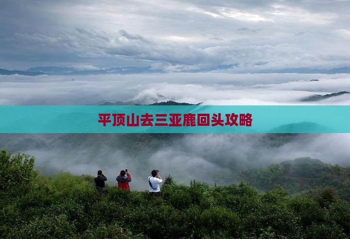 平顶山去三亚鹿回头攻略