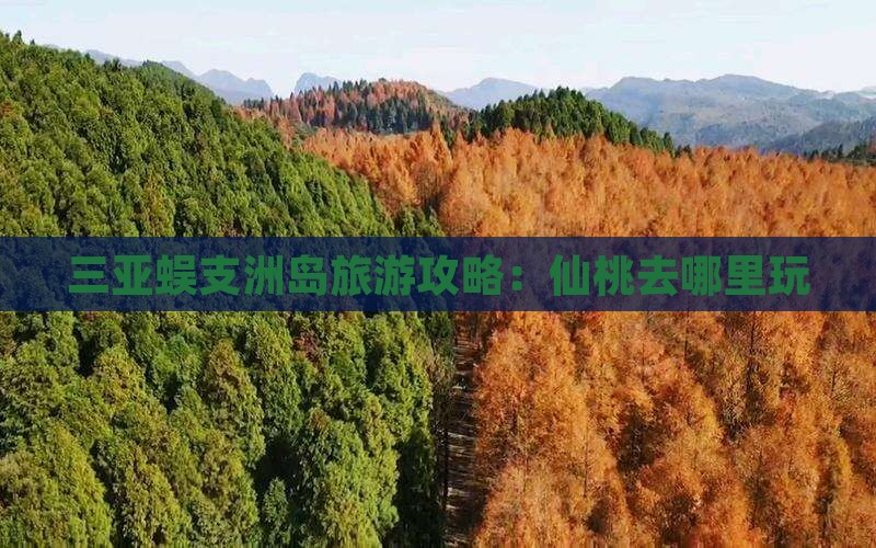 仙桃去三亚蜈支洲岛哪里玩