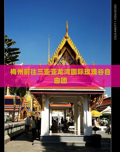 梅州前往三亚亚龙湾国际玫瑰谷自由团